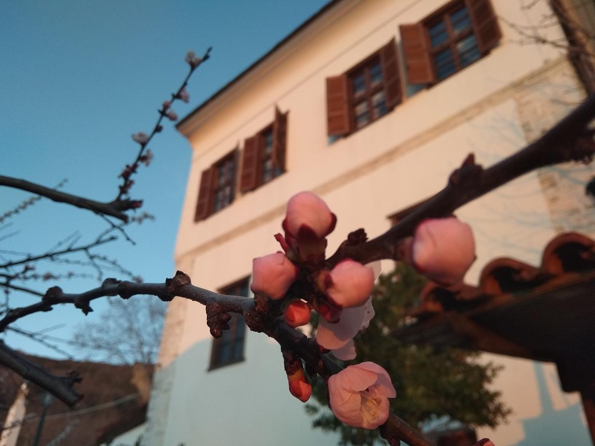 Archontiko Kantartzi 포르테리아 외부 사진