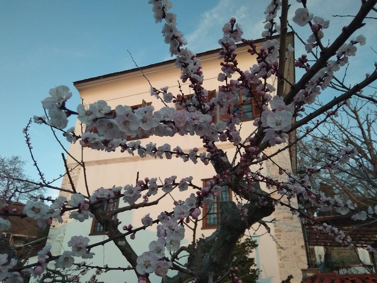Archontiko Kantartzi 포르테리아 외부 사진